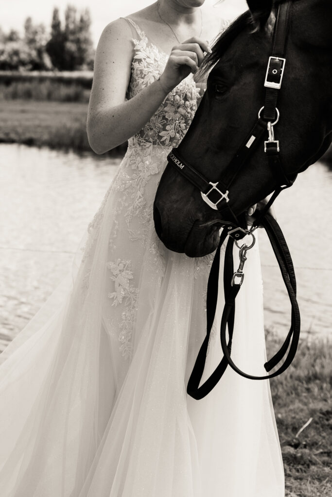 trouwfotografie met paarden door bruidsfotograaf vivian driesen